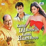 Kabhi Dil Roya Kabhi Hum Roye - Tushar Joshi Song Download